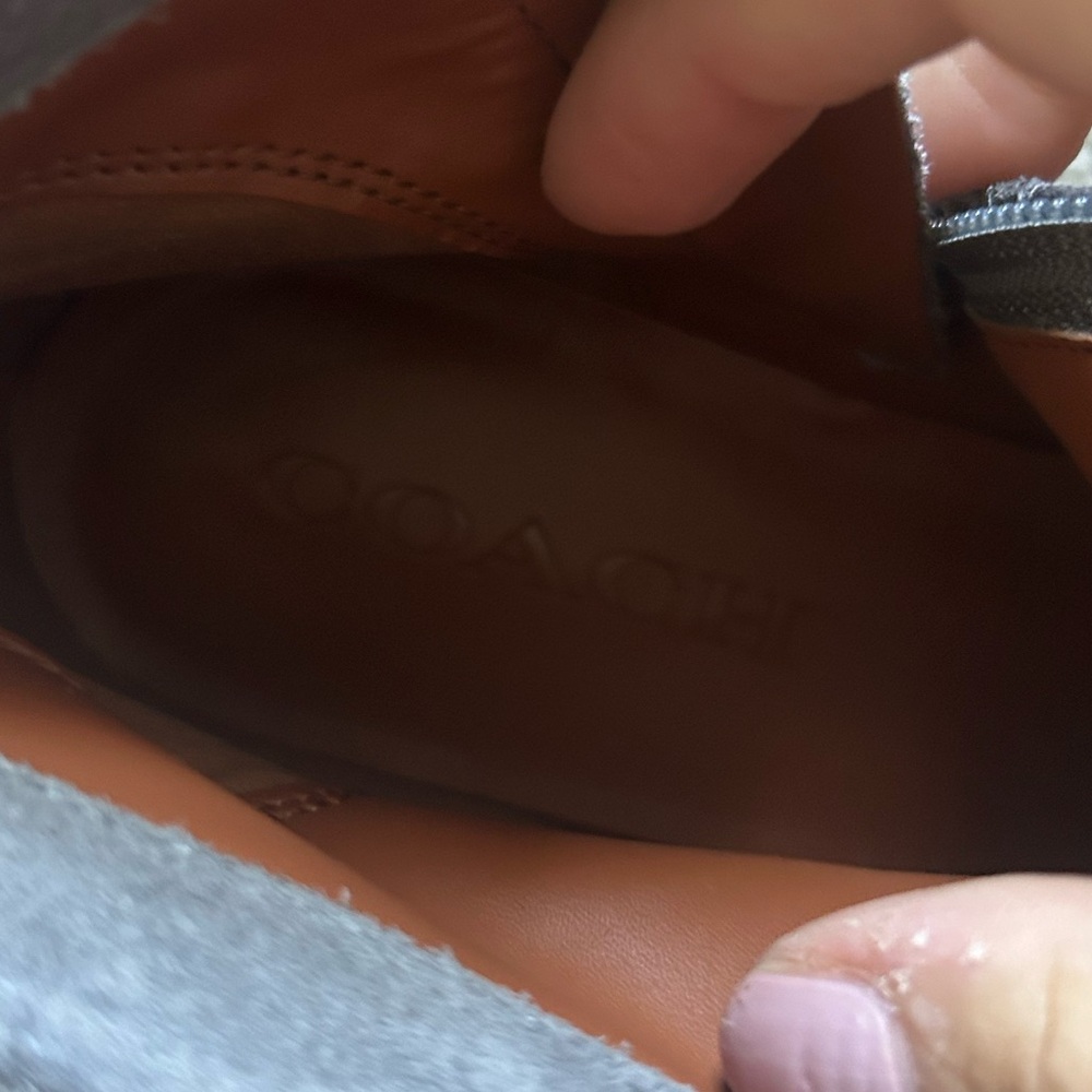 Coach Gray Suede Booties - Picture 5 of 8